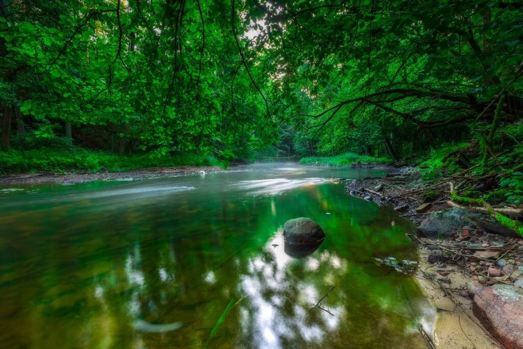 Why Do We Need Value Stream Management?