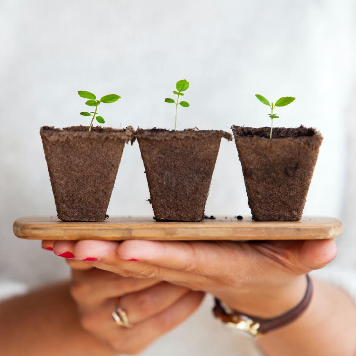 A Beginner’s Guide to PlantUML