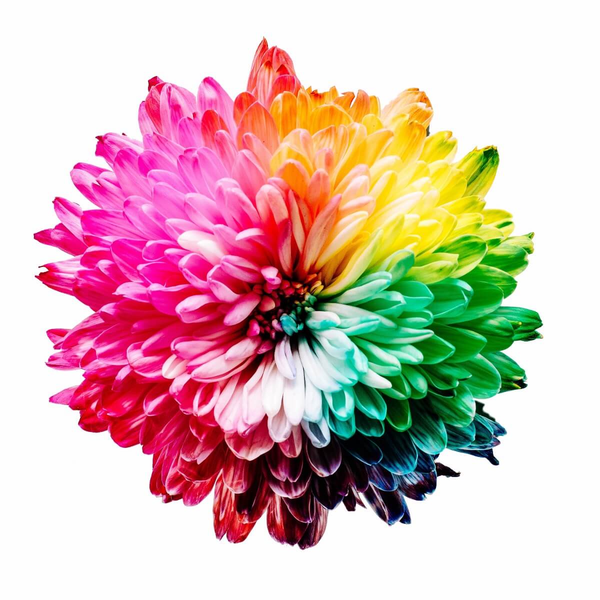 ML Ops: Evolving &amp; Sustaining Innovation
