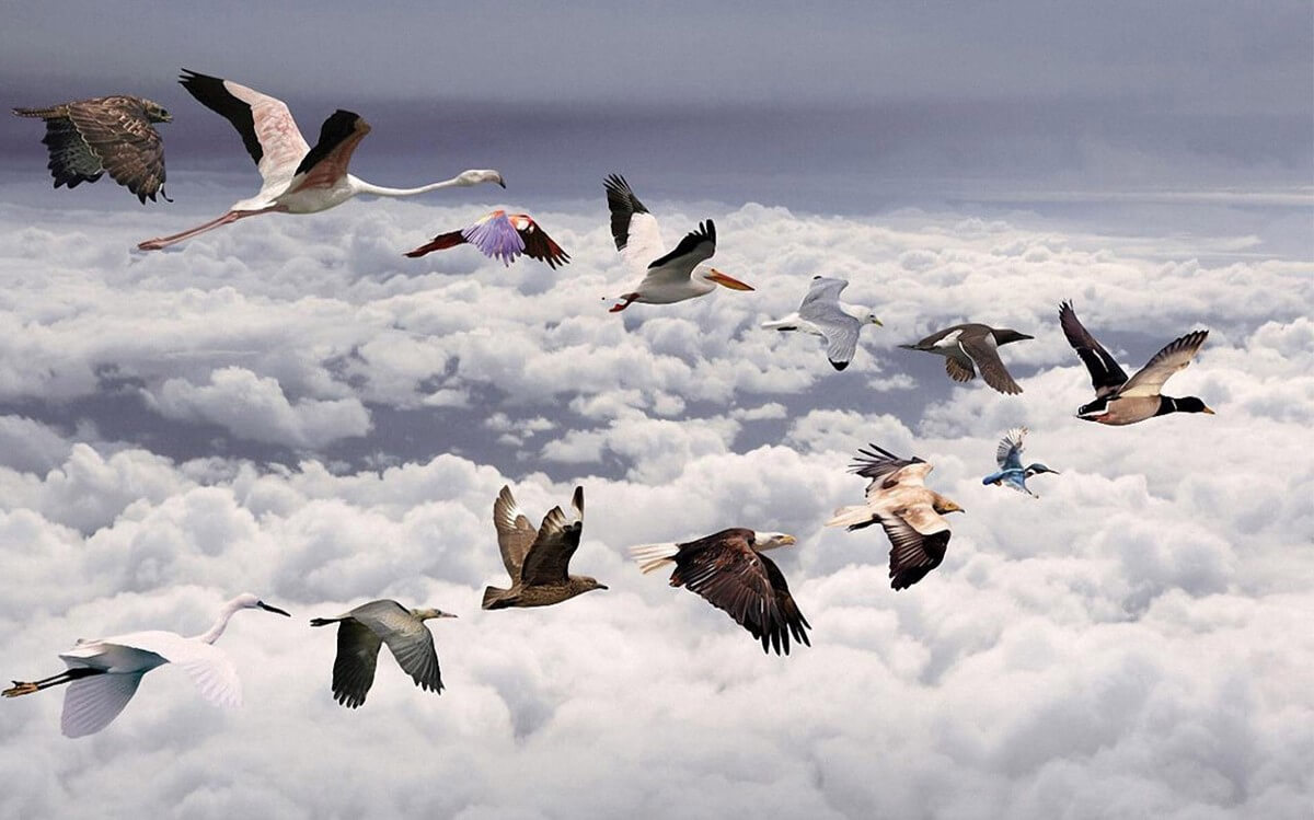 Elasticsearch Cluster Migration Across Data centers