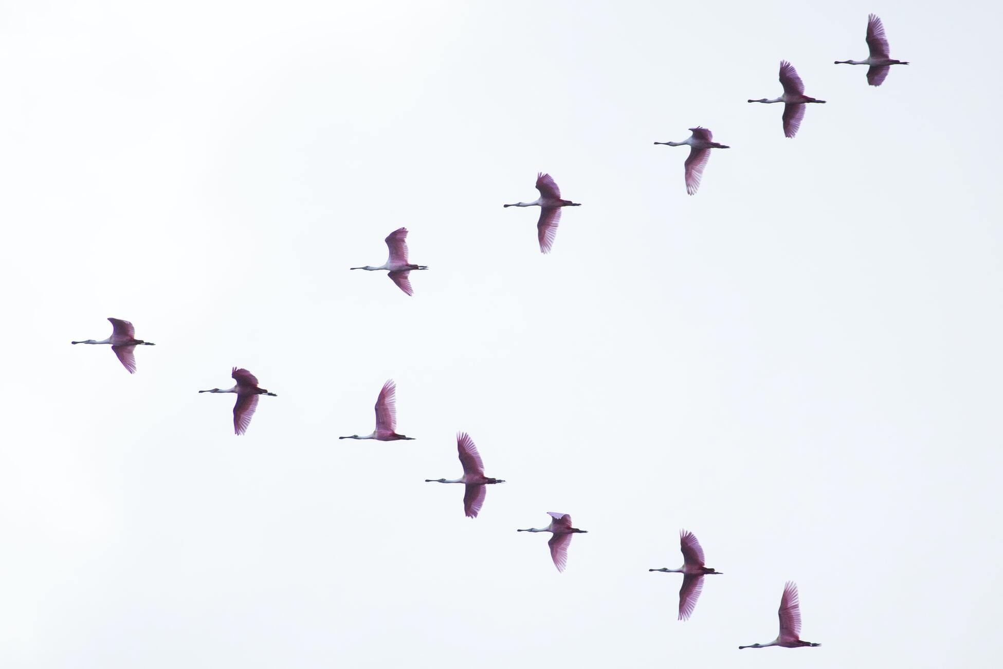 Death, Taxes, and Database Migrations
