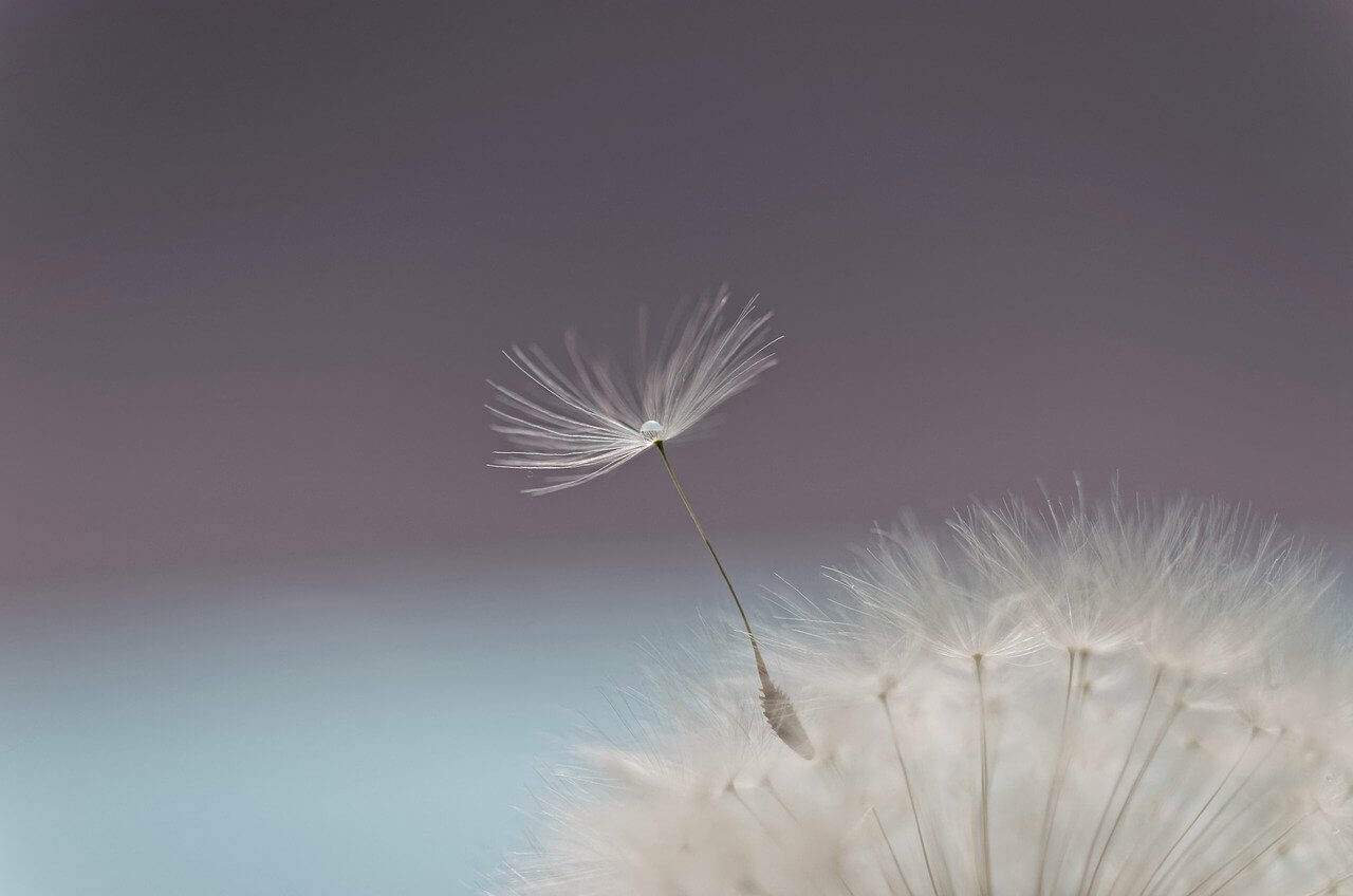 Why Should You Program with Ballerina?