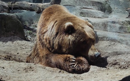 Hibernate Example