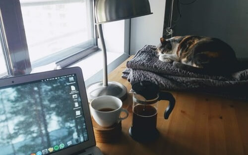Using the Django REST Framework to Develop APIs