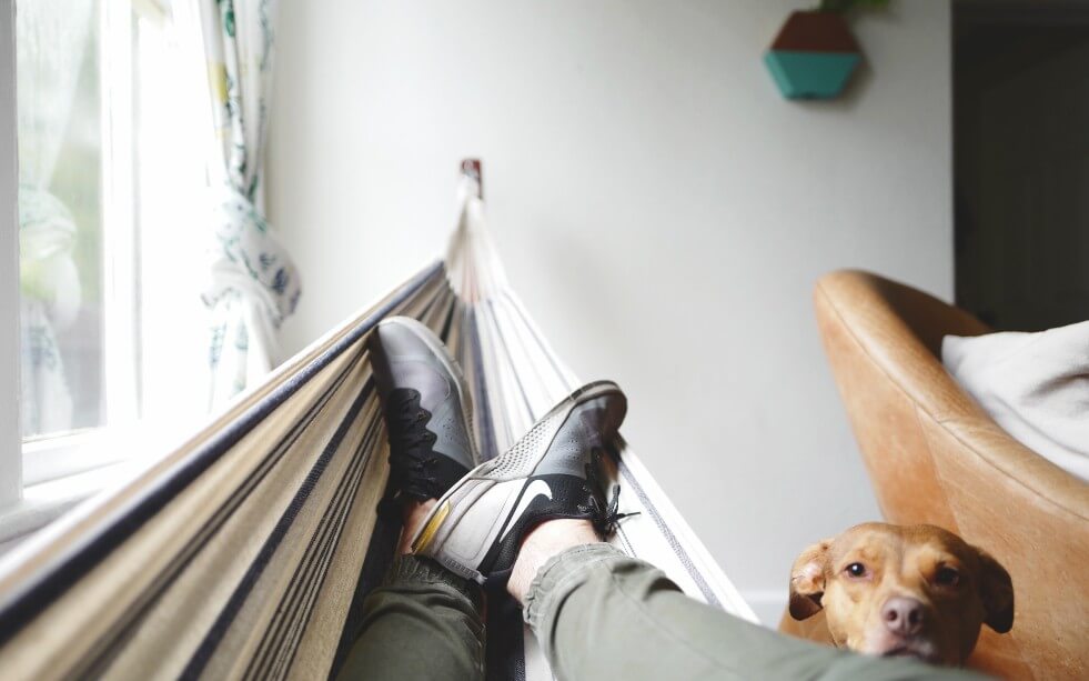 Build a REST Service That Consumes Any Type of Request Format