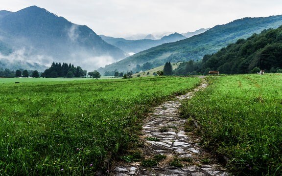 What Are Path Parameters: Web Services Tutorial