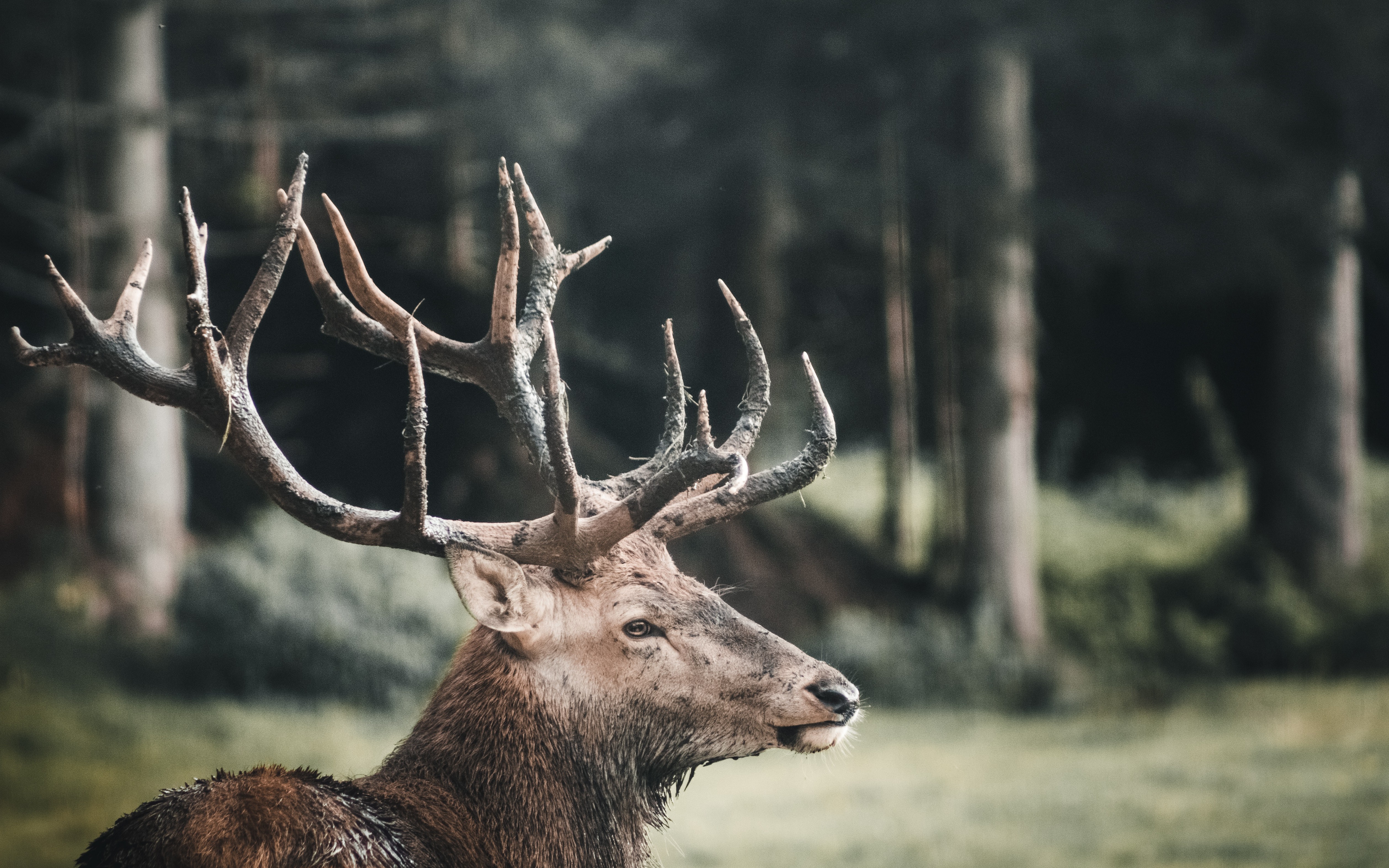Installing the ELK Stack on Alibaba Cloud: Step by Step Guide