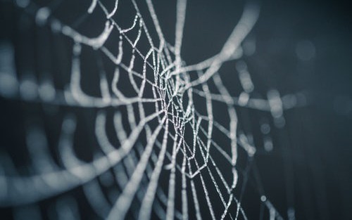 Managing Live WebSocket API Clients