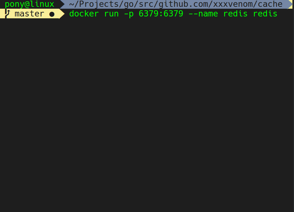 Cache and Golang