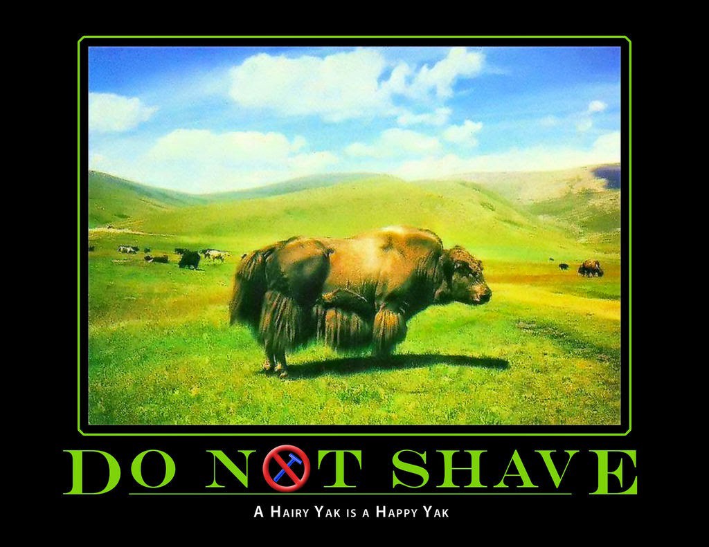 Don’t Shave that Yak!