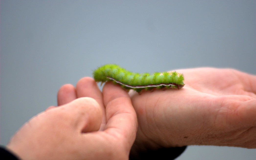 Deep Dive into Cloud Firewall: Addressing Aggressive Mining Worms