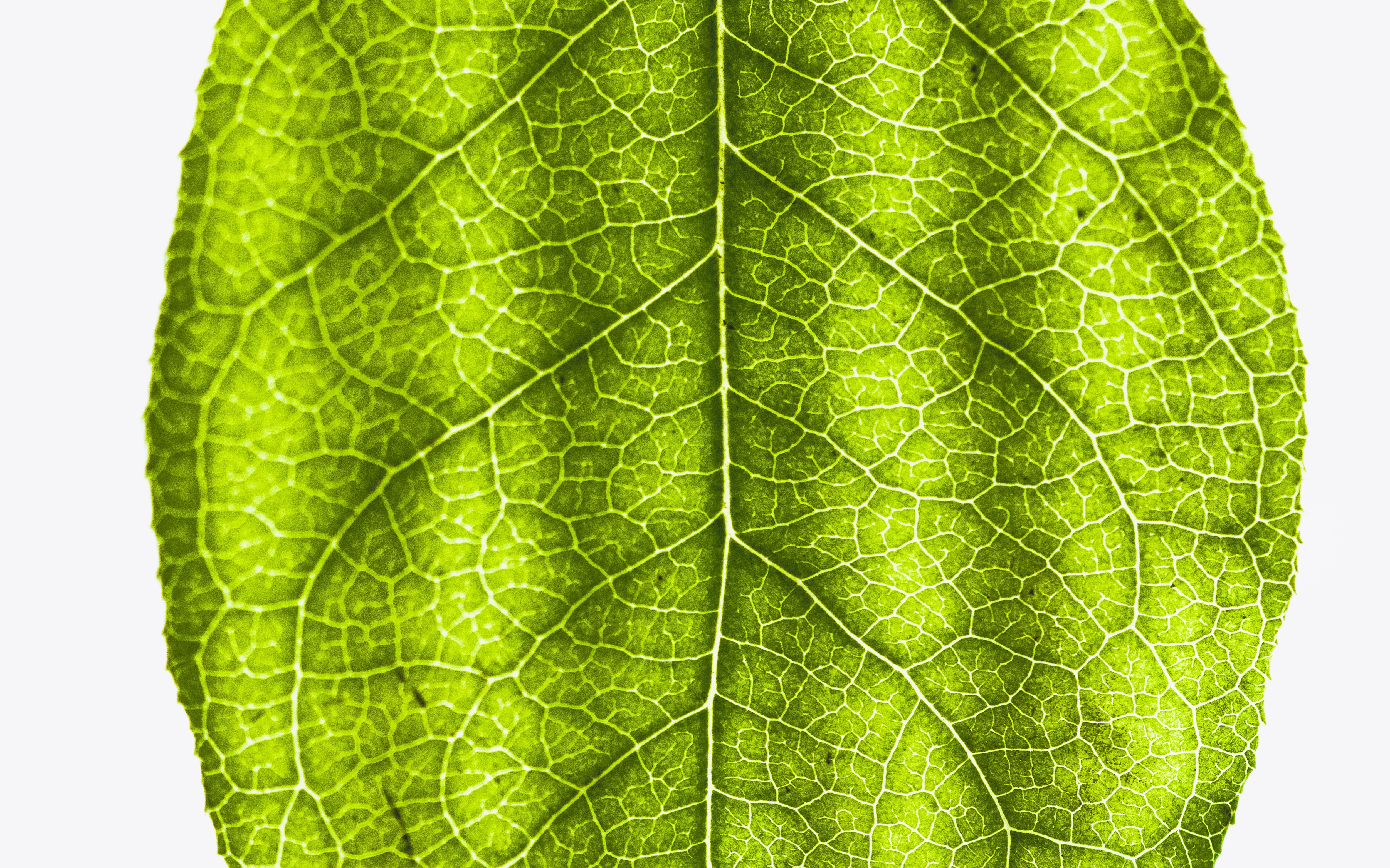 MongoDB Expands From Database to Data Platform