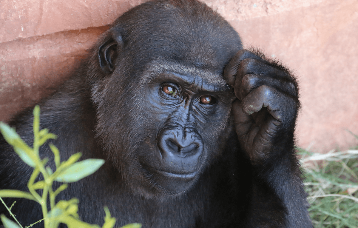 Capacity Planning — Train the Muscle of Guesstimation