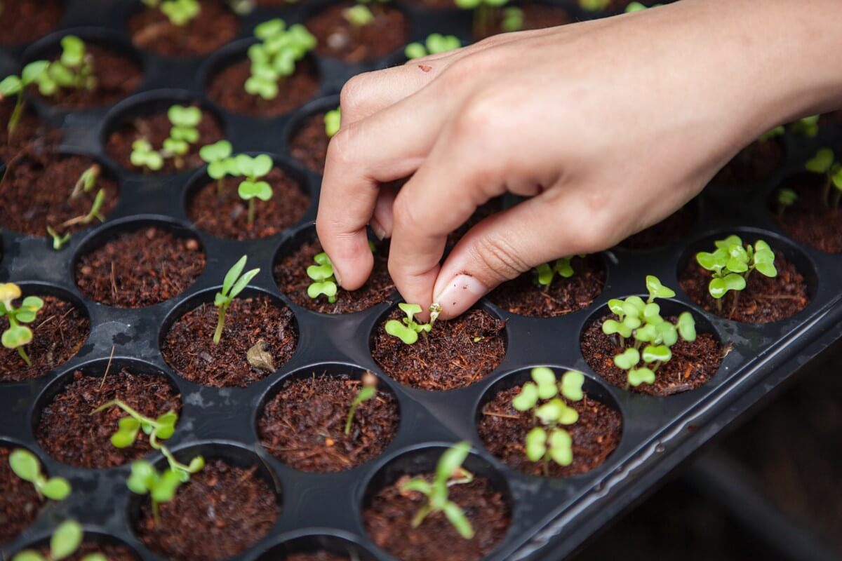 Database Seeders With Entity Framework