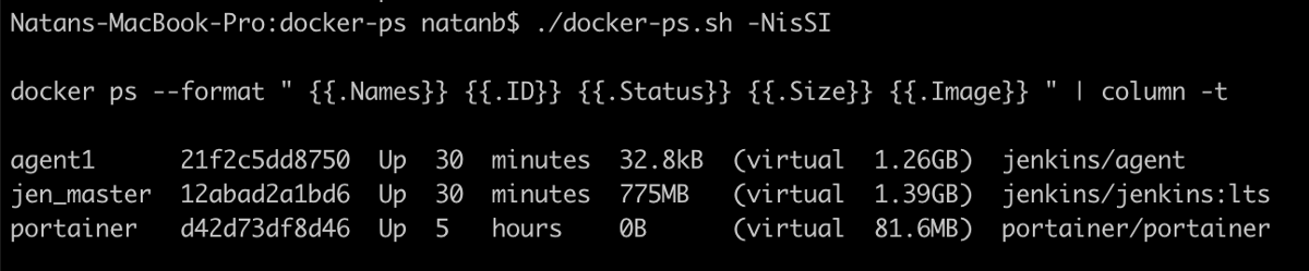 Personalise the docker ps view