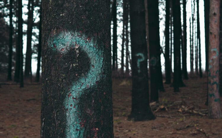 Five Questions Everyone Is Asking About Microservices (Part 4)