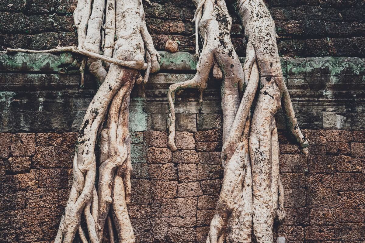 chroot — A Linux Wonder!