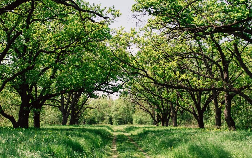 DDD and Spring Boot Multi-Module Maven Project