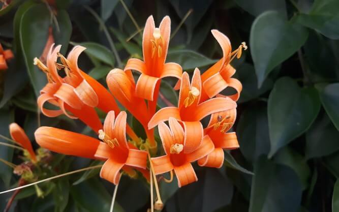 Top 8 Tips for Enhancing Automation Testing