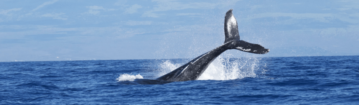 Docker Over SSH
