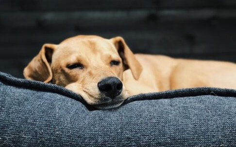 REST API Best Practices — Design Examples From Java and Spring Web Services