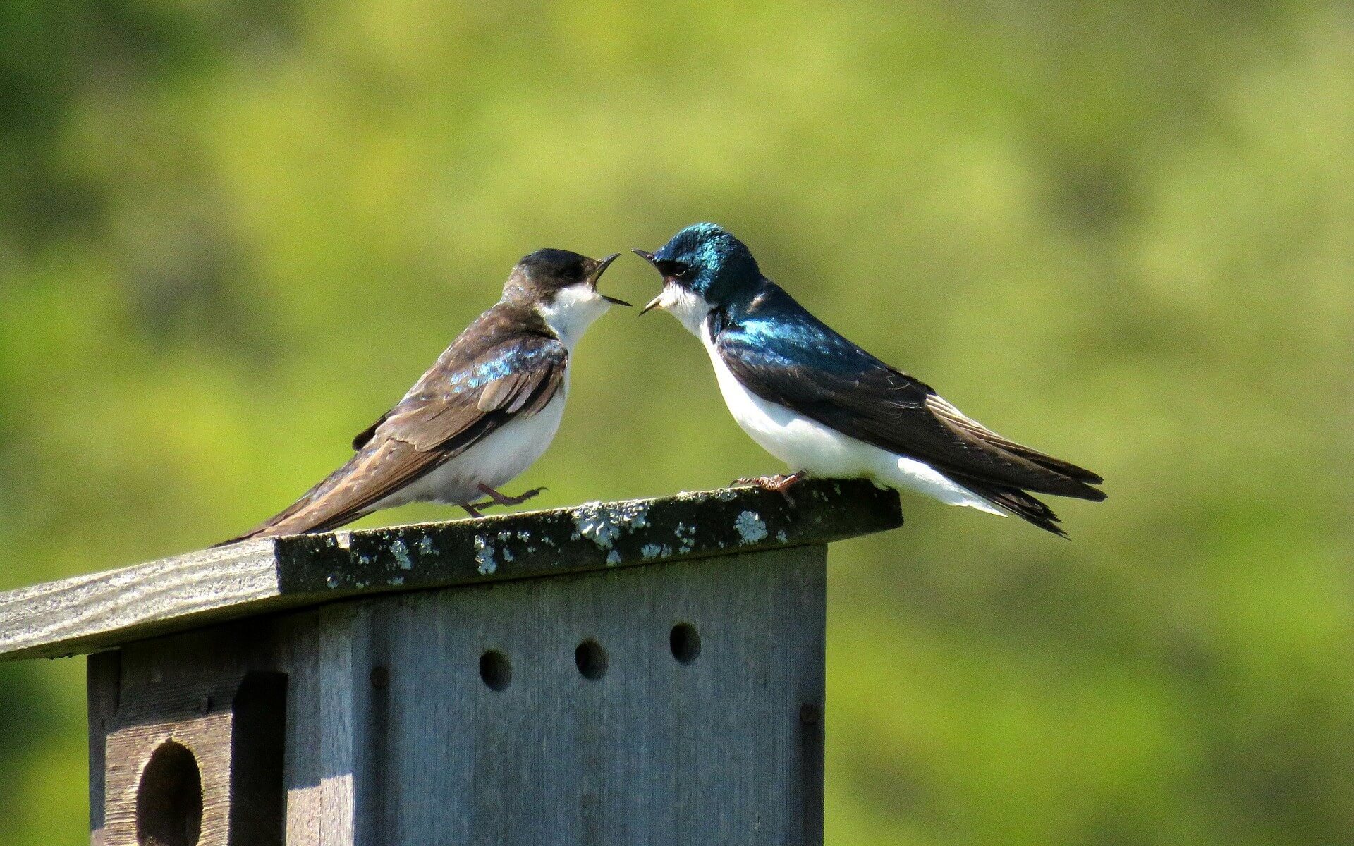 7 Arguments Against DevOps