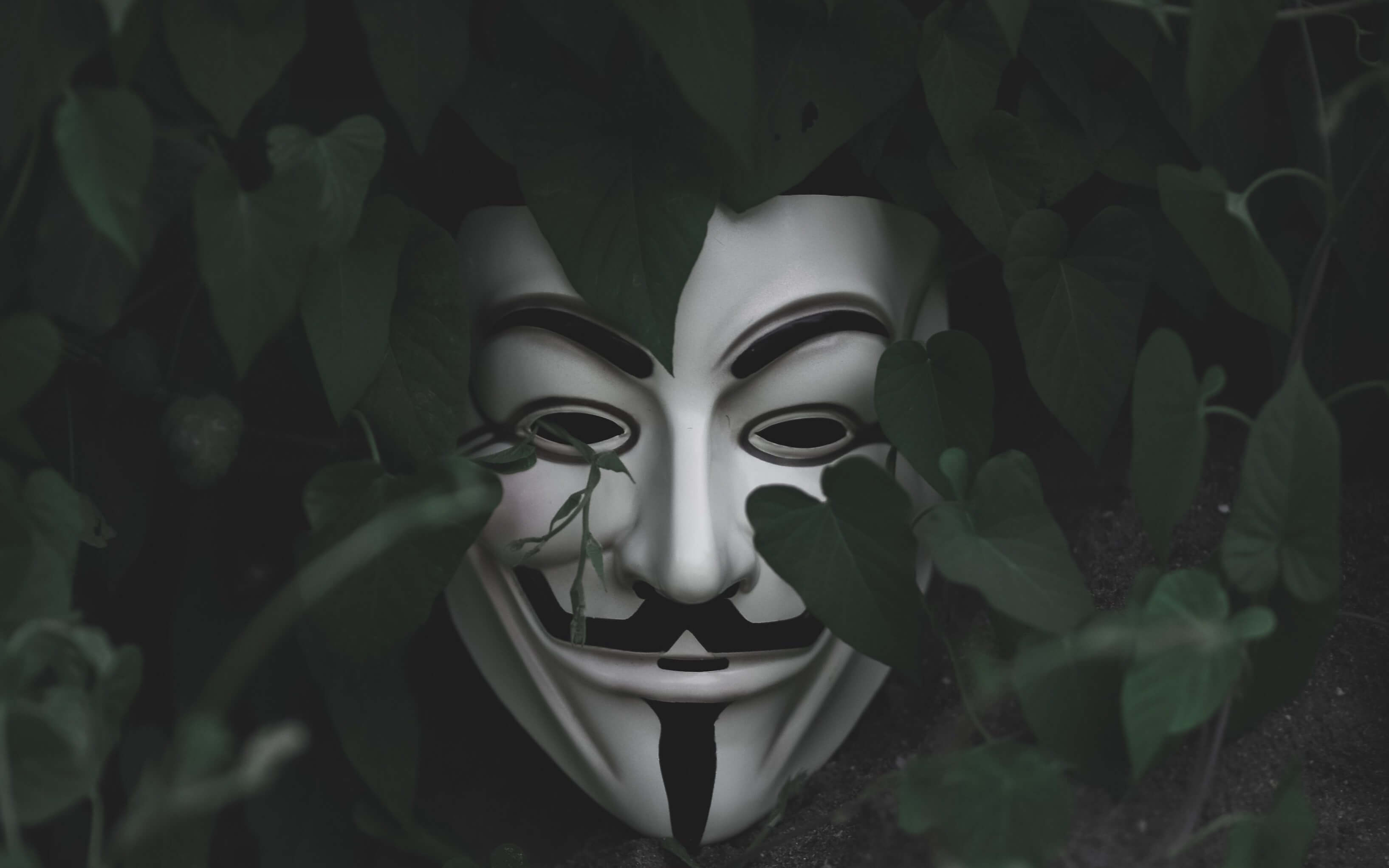 Top 10 Ethical Hacking Tools in 2019