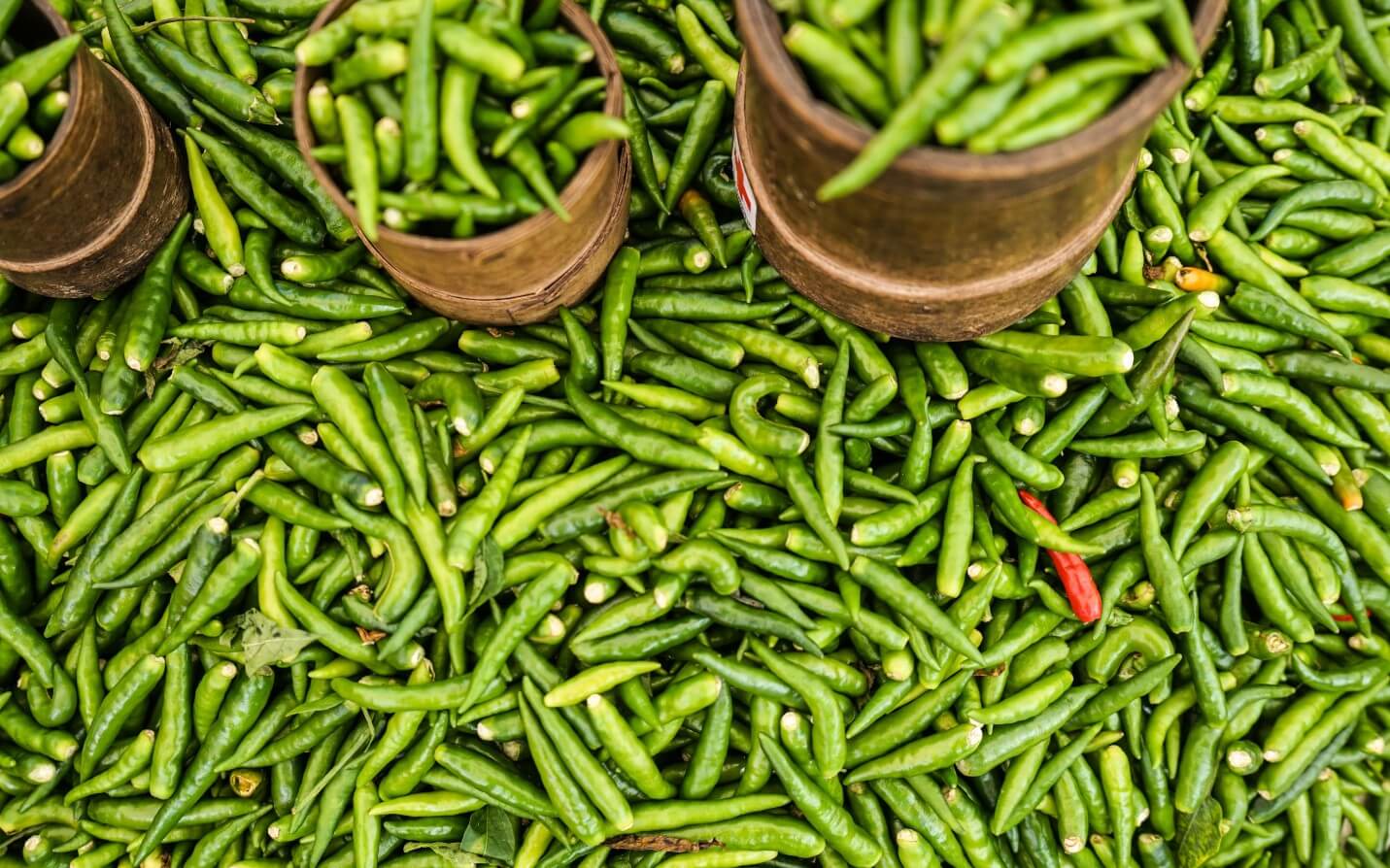 Secure and Deploy Your Spring Boot App With AWS Elastic Beanstalk