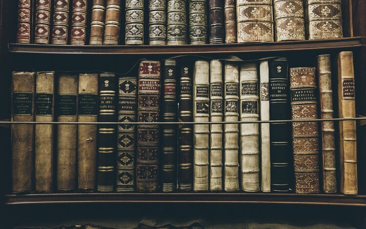 Read-Only Collections in Solr
