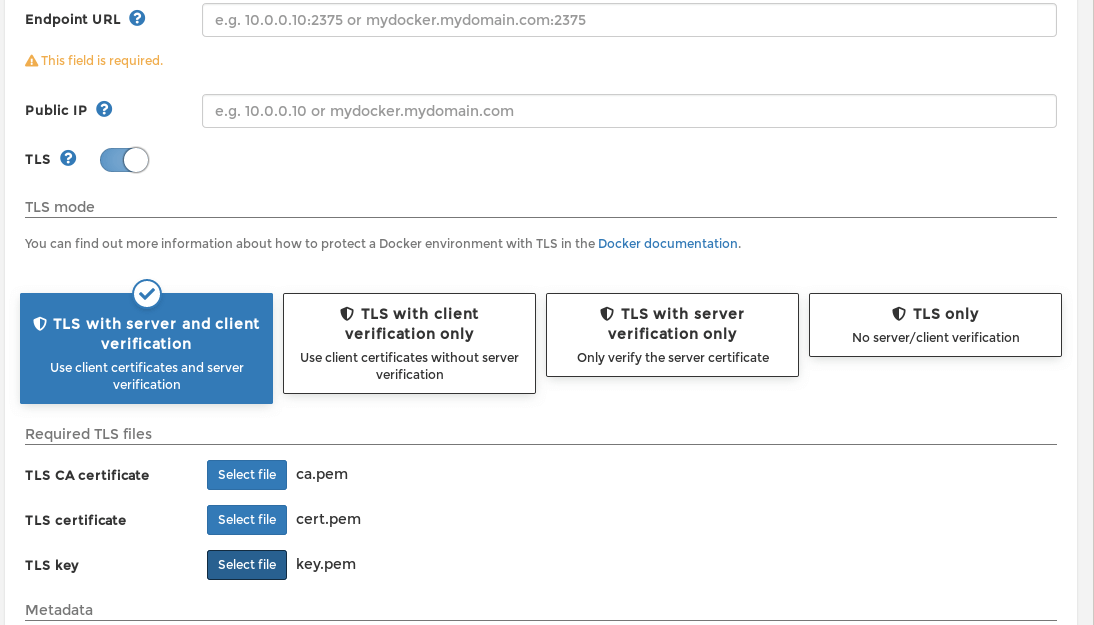 How to add new TLS endpoint at Portainer