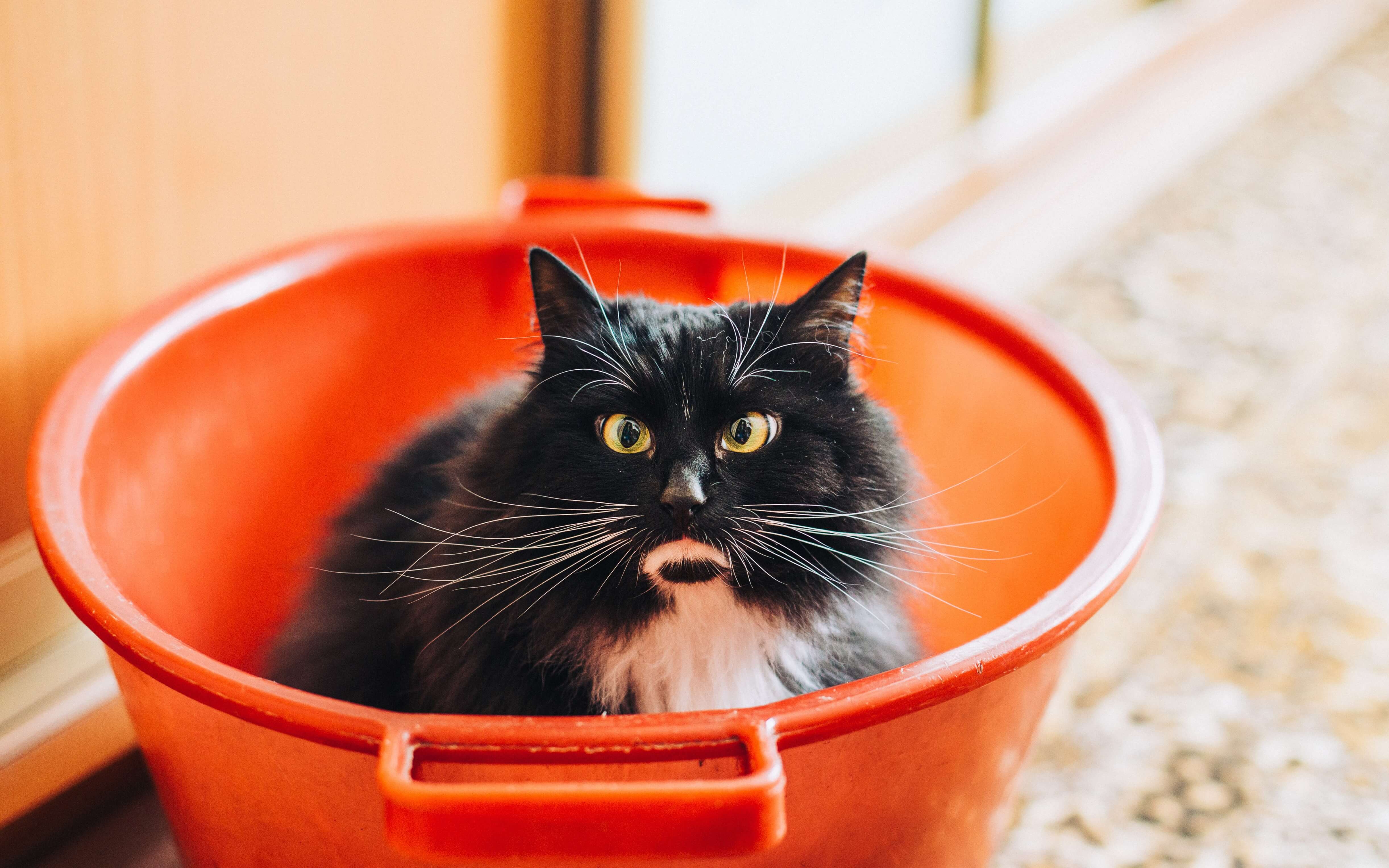 Upload an Entire s3 Bucket/Local Directory to Another s3 Bucket From Node.j