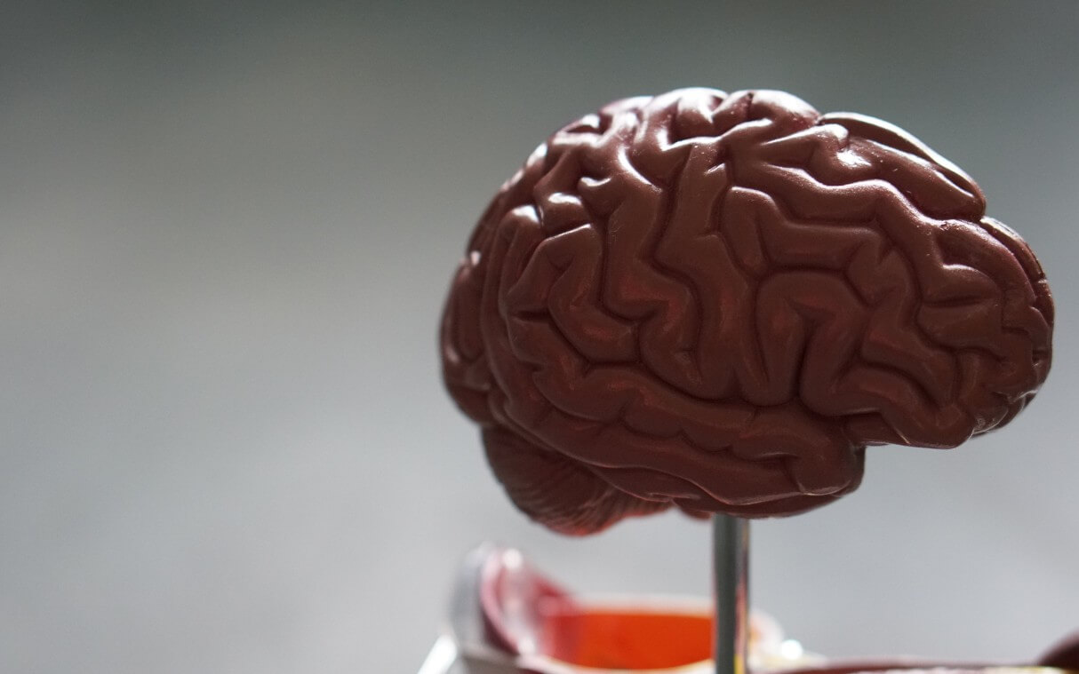 Big Data: Fighting Against Traumatic Brain Injuries