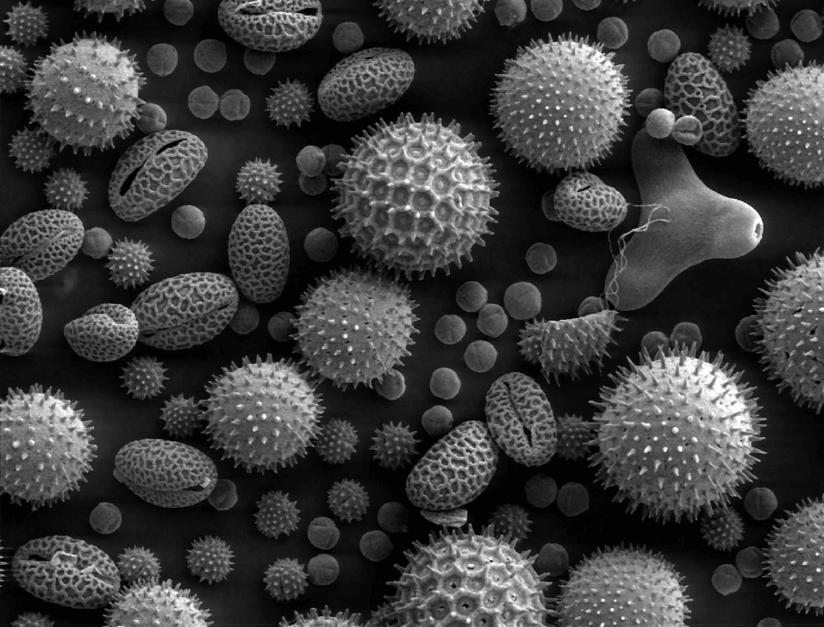Observability — Under the Microscope