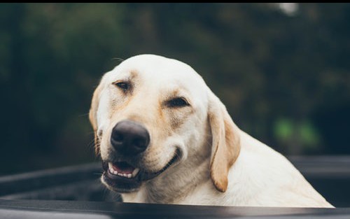 How AI Can Spot Fake Smiles