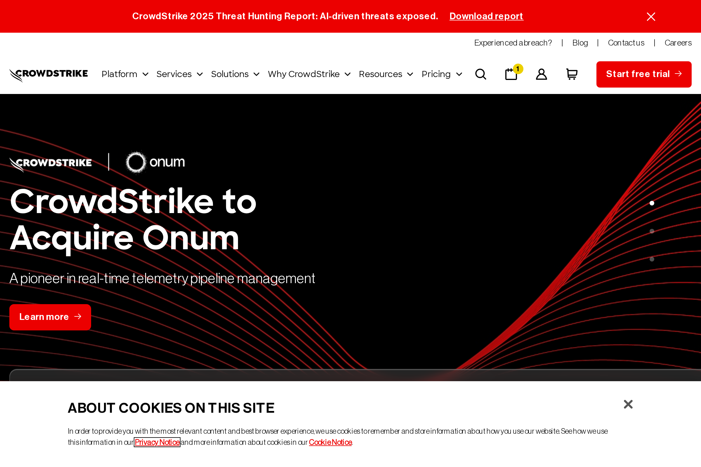 CrowdStrike Falcon screenshot