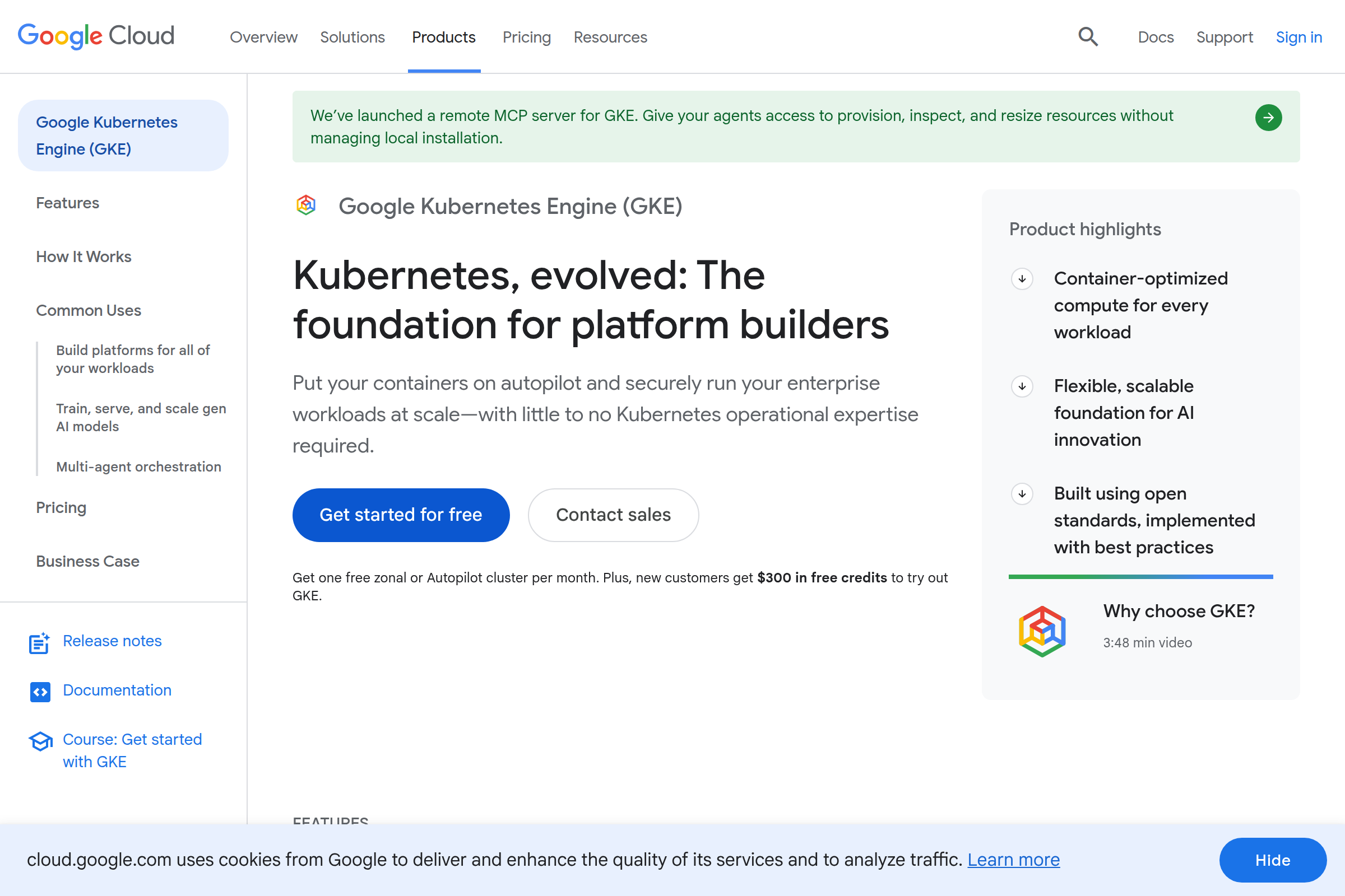 Google Kubernetes Engine (GKE) screenshot
