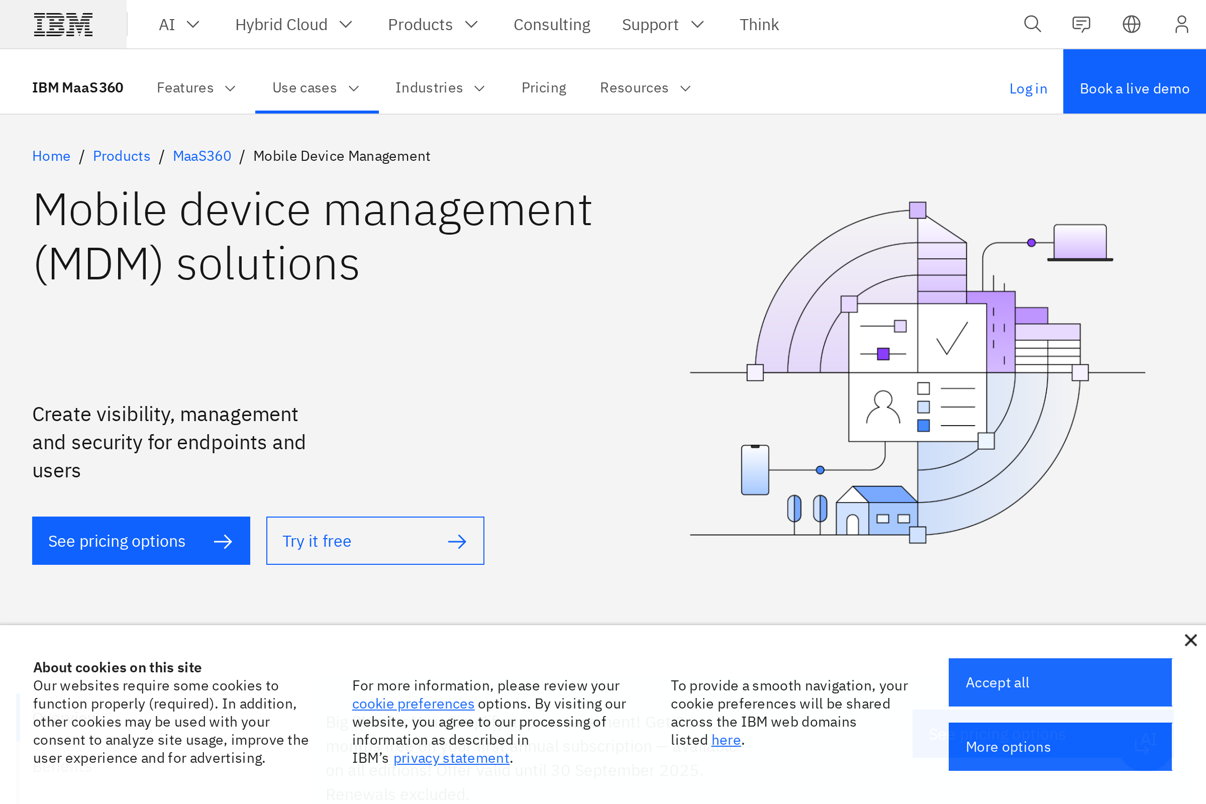 MDM by IBM screenshot